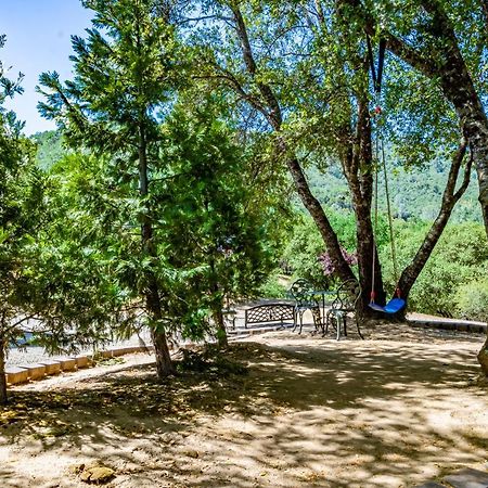 Spectacular Views W/ Hot Tub/Bbq -Yosemite & Bass Lake Oakhurst Exteriér fotografie